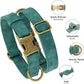 Didog Soft PU Leather Dog Collar, Stylish Quick Released Dog Collars for Small Dogs, Easy Clean Adjustable Pet Collar for Daily Walking, Green, S Fit 10-16" Neck