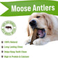 Buck Bone Organics Dog Chews, Moose Antlers for Dogs, Long Lasting Dog Bones for Aggressive Chewers, All Natural, No Preservatives, Wild Shed in The USA (Large)