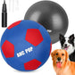 Herding Ball for Dogs & Horses - 20" Ball with Hand Pump - Blue & Red