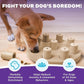 Outward Hound by Nina Ottosson Dog Smart Treat Puzzle Enrichment Toy, Level 1 Beginner, Tan, Composite