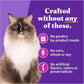 Halo Wet Cat Food Turkey & Duck Recipe, Grain Free Wet Cat Pate, Canned Cat Food for Extra Hydration, 5.5 Oz Can (Pack of 12)