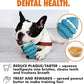 Max Fusion with Nike Grind, Arlee Spiro Football Treat Dispensing Dog Toy, Durable Dog Treat Toy, L