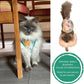 Cat Recovery Suit Surgical Onesie for Post Surgery/Neuter/Spay. Protection for Wounds and Skin infections for Male/Female Cats. Comfortable, Safe, (no Loose Cords) Cone Alternative. (Small)