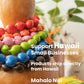 Ipu: professional concert performance level Hawaiian gourd - small size - handmade natural materials - 20 to 22.75inches