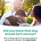 TropiClean Fresh Breath Dental Foam Spray for Dogs & Cats | Quick Breath Freshener and Teeth Cleaning Solution | Made in The USA | 4.5oz.