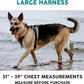 Embark Adventure Dog Harness, Reflective Trim No Pull Dog Harness for Large Dogs - Military Grade Nylon, Front Clip with Gel Lined Handle.