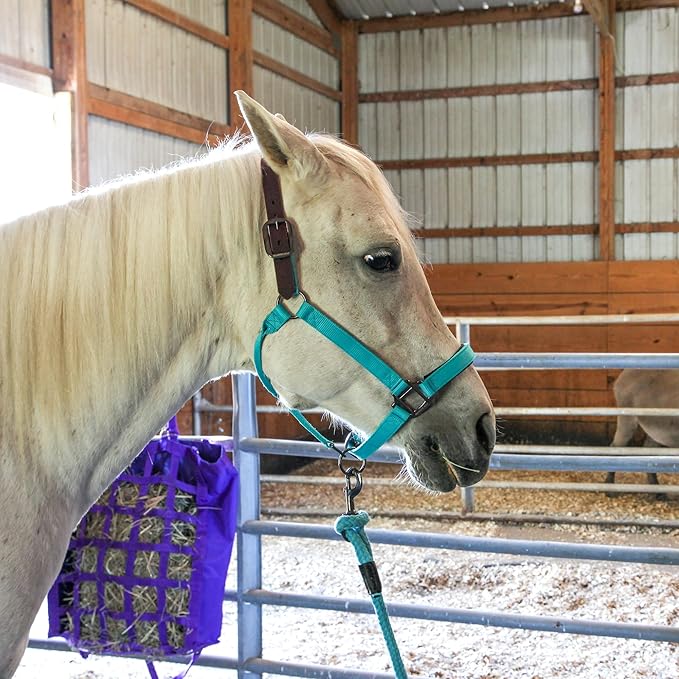 Majestic Ally Leather Halter with Matching Lead Rope for Horses – Leather Breakaway Crown - Adjustable Chin Strap – Rolled Throat Latch – Padded Noseband – Full (Red, Full)