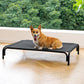 Elevated Dog Bed Raised Outdoor Dog Cot for Medium Dogs, Installation Requires No Tools, Frame with Washable Cooling Breathable Mesh Anti-Slip Feet, Indoor Pet Bed, Black, 35.4 Inches