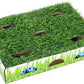 Catstages Grass Patch Hunting Box Interactive Bat & Swat Game for Indoor Cats, 3 Jingle Balls Included, Green