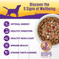 Wellness Complete Health Thick & Chunky Natural Grain Free Canned Wet Dog Food, Chicken Stew, 12.5-Ounce Can (Pack of 12)