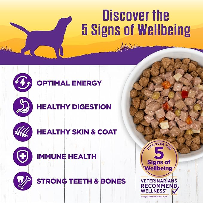 Wellness Complete Health Thick & Chunky Natural Grain Free Canned Wet Dog Food, Chicken Stew, 12.5-Ounce Can (Pack of 12)