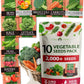 HOME GROWN 𝗨𝗦𝗔 𝗣𝗥𝗘𝗠𝗜𝗨𝗠 10 Variety Vegetable 2,000+ 𝗡𝗢𝗡-𝗚𝗠𝗢 Seeds (Kale Lettuce Tomato Broccoli Beans Peas Bell Peppers Carrot Cucumber Radish) – Indoor & Outdoor Garden Survival Seeds