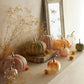 Small Glass Pumpkins with Brass Stems | 2 Styles