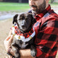 Huxley & Kent Ruff Pet Scrunchy | Buffalo Check (Extra-Small) | Festive Christmas/Holiday Neckwear for Dogs/Cats | Fun Stretchable Costume Accessory | Soft Collar with Bells