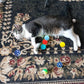 40-Piece Cat Toy Variety Pack for Indoor Cats and Kittens, Bouncy Paws (1.5'' - 2.2'', Cat Toys Deluxe Pack)