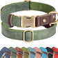 Didog Soft PU Leather Dog Collars for Medium Dogs,Classic Adjustable Dog Collars with Quick Release Metal Buckle,Easy Clean and Comfortable with Nylon Lining,Green,M Neck 13-19"