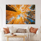 Nature Wall Art Prints - Ocean Forest Mountain Lake Canvas Landscapes - Small to Extra Large Living Room Bedroom Kitchen Bathroom Décor (Blue Sky Through Yellow Autumn Trees, 31L" x 47W")