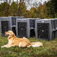 Dakota 283 Crate - Canine Rough and Tough Economy Kennel (Coyote Granite, Intermediate)