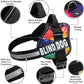 Doggie Stylz Blind Dog Harness No Pull No Escape Dog Vest for Blind Dogs Adjustable Vest with Handle Blind Dog Accessories and Patches for Training and Mobility
