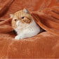 Bedsure Fleece Throw XL Blanket Burnt Orange - 300GSM Soft Lightweight Plush Cozy Blankets for Bed, Sofa, Couch, Travel, Camping, 50x70 inches