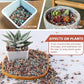 5lb Mix Horticultural Lava Rock Pebbles Pumice Potting Soil Amendment Succulent Cactus Bonsai Gritty Rock Decorative Gravel Plant Drainage Volcanic Rock for Aquarium Fairy Gardening Top Dressing