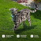Tractive Smart Cat GPS Tracker | Real-Time Location & Wellness Monitoring for Cats 6.5 lbs+ | Territory & Location History | Up to 5-Day Battery | Breakaway Collar Included (Brown)