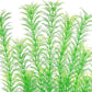 Aquarium Plastic Plants Large, Artificial Plastic Long Fish Tank Plants Decoration Ornaments Safe for All Fish 21 Inches Tall (J67 Grenn)