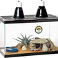 Zilla 10 Gallon Pet Reptile Starter Habitat Kit with Light and Heat for Small Desert Dwelling Animals