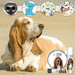 The Blissful Dog Basset Hound Nose Butter for Dry, Cracked Skin, Lick-Safe Dog Nose Balm with Moisturizing Shea Butter, Almond, Olive, and Essential Oils, Pet Supplies, Uncented, 8 oz.