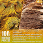 FreshDrinkUS, Premium 75 Mullein Licorice Tea Bags, 100% Natural, Blend of Mullein Leaves, and Licorice Root. Made with Natural Material Tea Bags. No Sugar, Vegan.