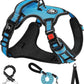 NESTROAD No Pull Dog Harness,Adjustable Oxford Dog Vest Harness with Leash,Reflective No-Choke Pet Harness with Easy Control Soft Handle for Large Dogs(Large,Blue)
