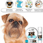 The Blissful Dog Brussels Griffon Boo Boo Butter, 0.15-Ounce