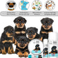 The Blissful Dog Rottweiler Boo Butter, 2 oz