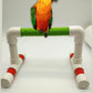 Hypeety Small Bird Parrot Stand Perch Table Top Stand Playground Grind Perch Swing Training Playstand Exercise Chew Toys for Budgies Parakeet Cockatiel Conure Finch (Stainless Steel Tray, L)