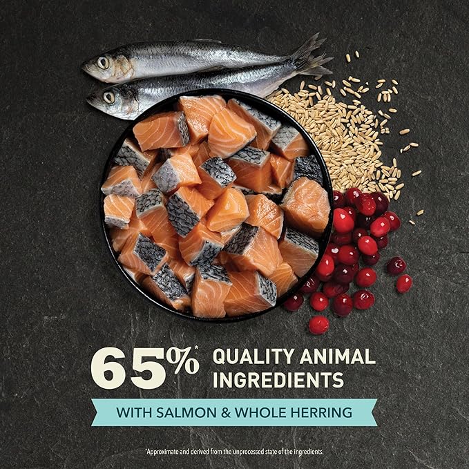 ACANA Dry Cat Food Bountiful Catch Salmon Catfish and Herring 4lb Bag