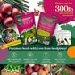 10 Gourmet Onion Seeds for Planting Variety Pack - 2,900+ Non-GMO Heirloom Vegetable Seeds for Growing Indoor & Outdoor: Red Burgundy, Leek, Walla Walla, Grano White & Yellow Sweet Spanish