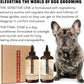 Pride and Groom The Sensitive One Box Set – Dog Shampoo & Conditioner with All Natural Blend of Essential Oils & Ingredients to Soothe, Nourish & Untangle for Long Lasting Shine & Manageability – 32oz