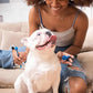 Pet Toothbrushing Assistant for Dogs and Cats Allows You to Brush Your pet’s Teeth Without Constantly Worrying About Getting Bitten Medium Size for Pets Between 15-85 lbs. (7-38.5 Kg)