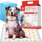 AKC Advanced Puppy Pads with Color-Changing Health+ Indicator and Ultra Absorbent Quick Dry Gel – 28"x30" Leakproof Training Pads for Dogs – Fresh Scented – 50 Count, X-Large