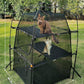 Portable Large Pop Up Pet Cat Tents Enclosures for Outside Patio