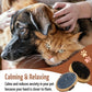The Buddy System Pet Close Brush, Soft Touch Oval Palm Brush - Bamboo Massage Handheld with Soft Boar Bristles and Elastic Band for Dogs and Cats (2-pack, 1 Brush + 1 Rubber)