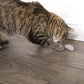SmartyKat (20 Count) Skitter Critters Value Pack Catnip Cat Toys - Gray/Cream, 20 Count