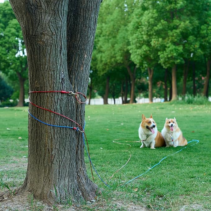 Amazon Basics Tie-Out Cable For Dogs Up to 56.7kg/914.4cm (Pack of 1), Red