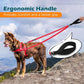 PetBonus Two Point Control Dog Leash, Works with No Pull Harnesses, No Tangle Dog Training Leashes, No Pull Padded and Reflective Walking Lead, Converts to Single Leash for Medium Large Dogs (Purple)