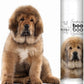 Tibetan Mastiff Boo Boo Butter, 0.50 oz