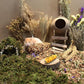 Natural Hamster Bedding - Flowers, Herbs, Sprays, Treat Cereal Grain for Cage Habitat Enclosure Decor - Hamster Chews for Dwarf Syrian Gerbils, Mice, Rat Forage - Pet Accessories