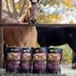 Flaxen Flow 3 L, 100% Flax Seed Oil for Horses, Rich in Omega-3 and Omega-6 Fatty Acids