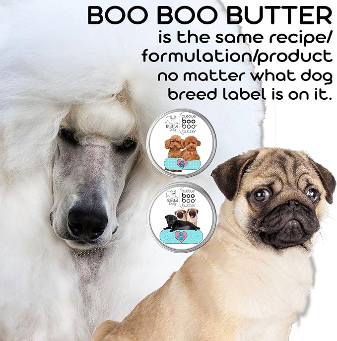 The Blissful Dog .15 oz Tube Boxer Booboo Butter
