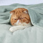 Bedsure Sage Green Fleece Blanket King Size - 280GSM Soft Lightweight Plush Cozy Blankets for Bed, Sofa, Couch, Travel, Camping