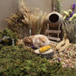 Natural Hamster Bedding - Flowers, Herbs, Sprays, Treat Cereal Grain for Cage Habitat Enclosure Decor - Hamster Chews for Dwarf Syrian Gerbils, Mice, Rat Forage - Pet Accessories